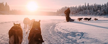 Noorderlicht reizen en fotografie naar Lapland IJsland Lofoten Noorwegen - Waar en wanneer Noorderlicht zien